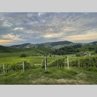 Mystical atmosphere in southern Styria | © Steiermark Tourismus | Elisabeth Perl