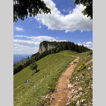 Wandersteig zur Roten Wand | © STG | Günther Steininger