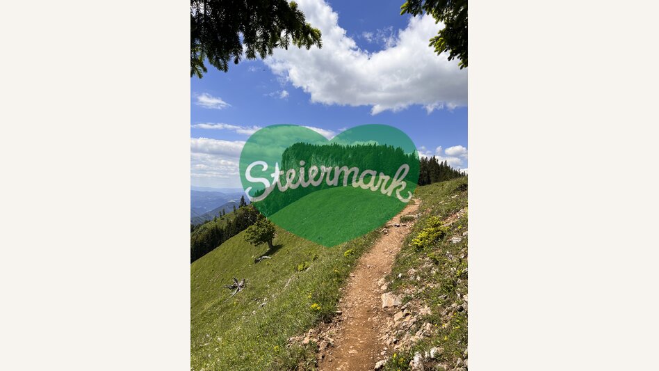Wandersteig zur Roten Wand | © STG | Günther Steininger