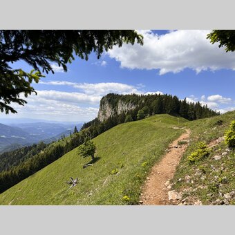 Hiking trail to the Rote Wand | © Steiermark Tourismus | Günther Steininger