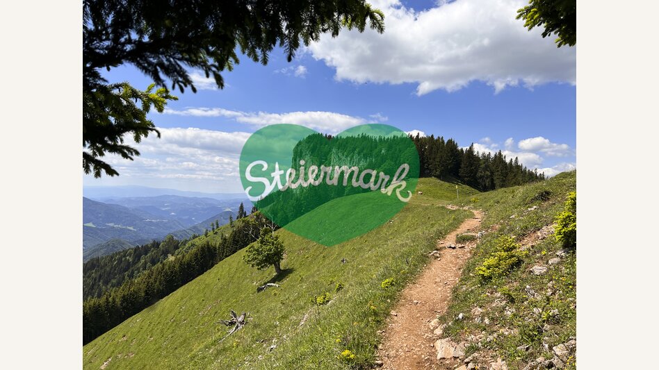 Wandersteig zur Roten Wand | © STG | Günther Steininger