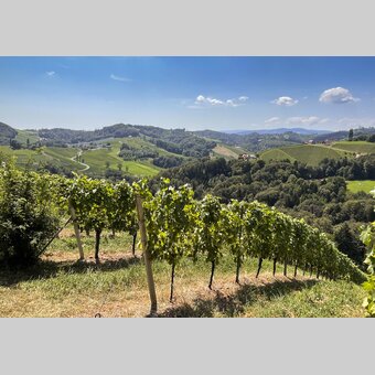 View of Southern Styria | © Steiermark Tourismus | Günther Steininger