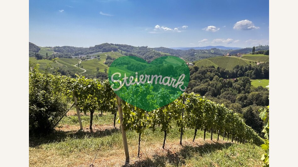 View of Southern Styria | © Steiermark Tourismus | Günther Steininger