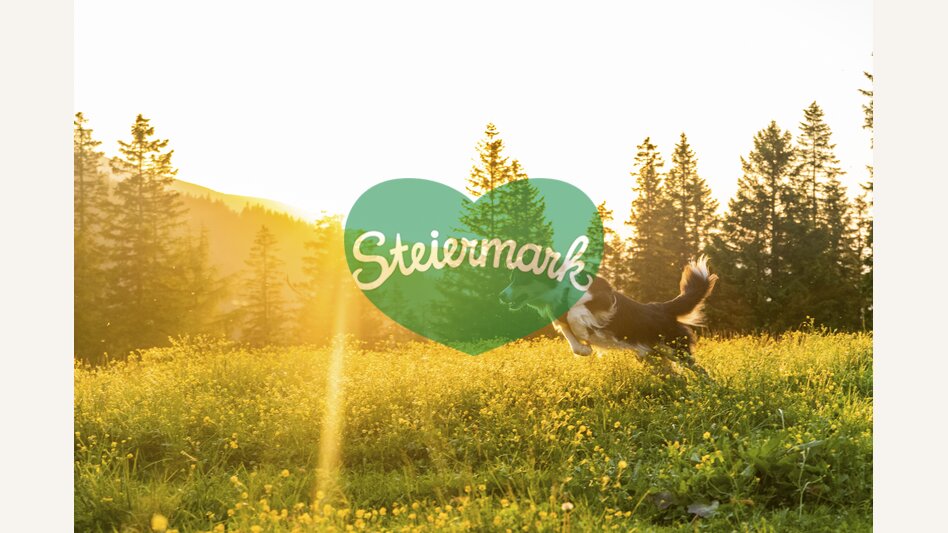 Leap into the sea of flowers | © Steiermark Tourismus | Mias Photoart