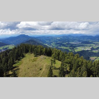 Patscha | © STG | Günther Steininger