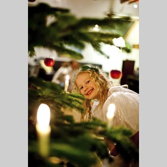 christmas is coming  | © Steiermark Tourismus | Tom Lamm