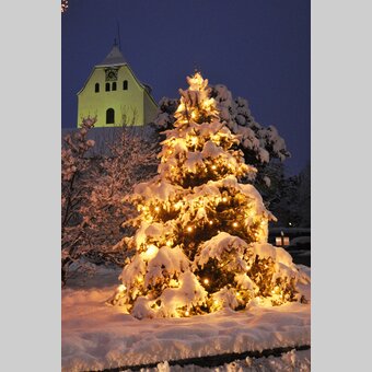 Christbaum mit Schnee | © STG | Gery Wolf