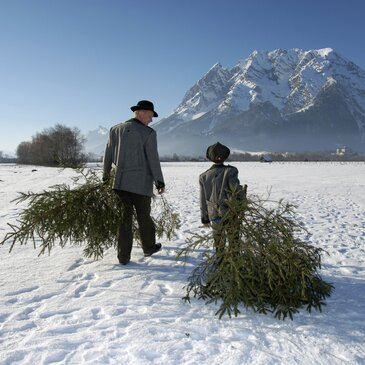 Der Berg Grimming im Hintergrund