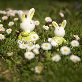 Osterhase im Blüte-Frühling