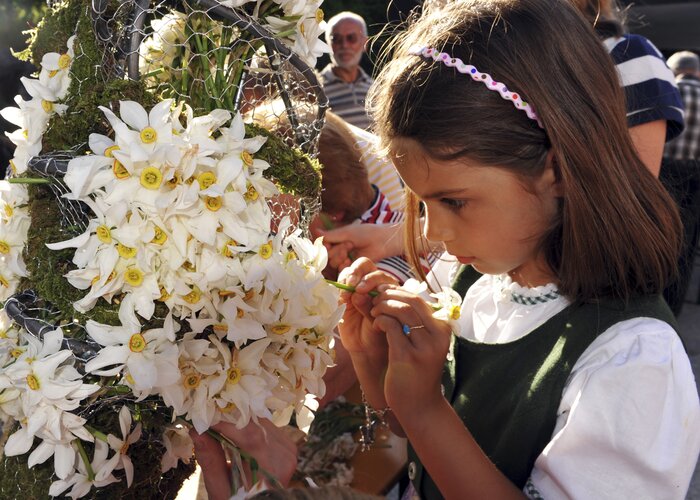 daffodil festival, Ausseerland in spring | © Steiermark Tourismus | Gery Wolf