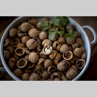 Nut with a heart | © Steiermark Tourismus | Tom Lamm