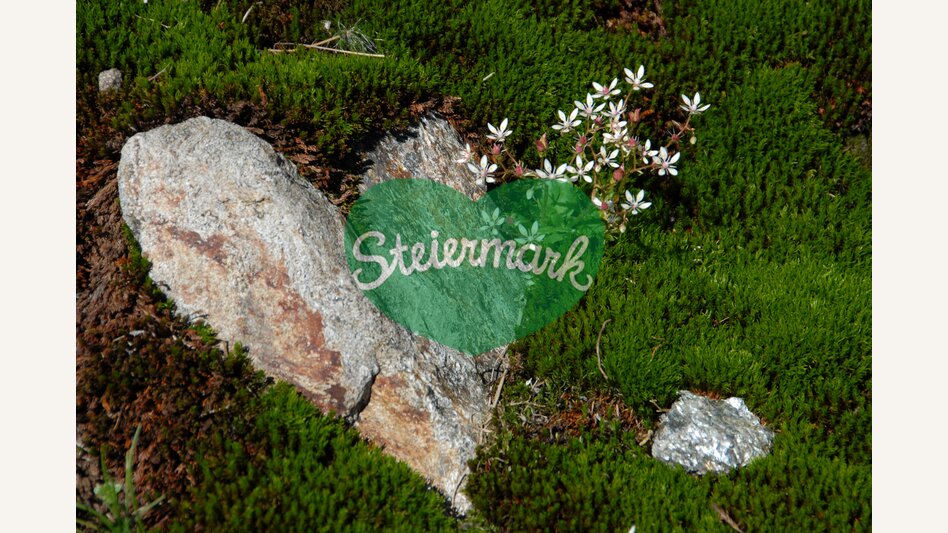 © Steiermark Tourismus | Petz