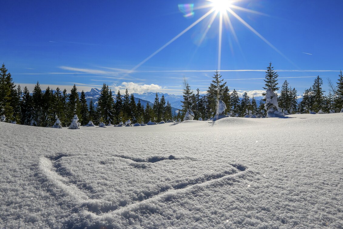 Winter mit Herz | © STG | photo-austria.at