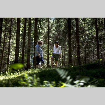 Waldbaden mit Waldpädagogin und Grünkraft-Begleiterin Claudia Gruber im Naturpark Zirbitzkogel-Grebenzen | © STG | Tom Lamm