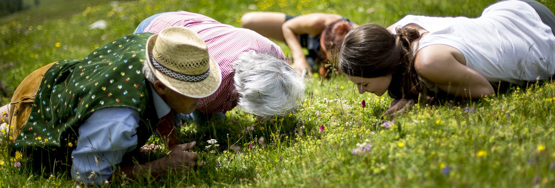 Regina Müllner findet und erklärt die Alpenblumen auf der Aflenzer Bürgeralm | © TV Hochsteiermark | Tom Lamm