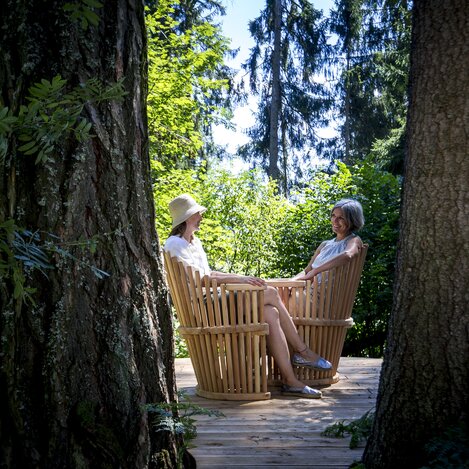 Ein lauschiger Platz im Wald | © STG | Tom Lamm