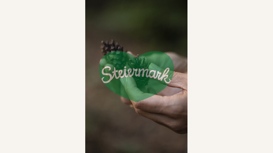 Pine cone | © Steiermark Tourismus | Punkt & Komma