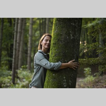 Time out in the forest | © Steiermark Tourismus | Punkt & Komma