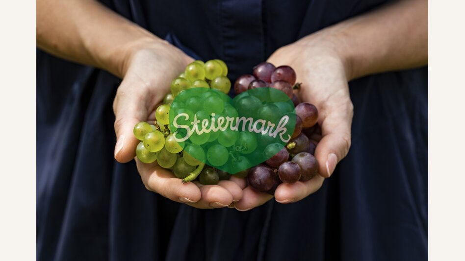 Grapes | © Steiermark Tourismus | Punkt & Komma