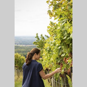 Healing power from nature | © Steiermark Tourismus | Punkt & Komma