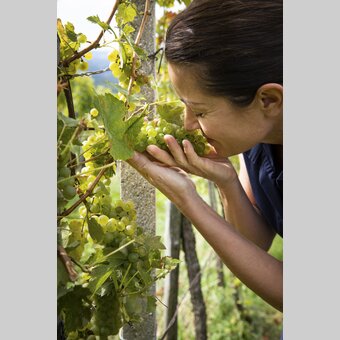 Healing power from nature | © Steiermark Tourismus | Punkt & Komma