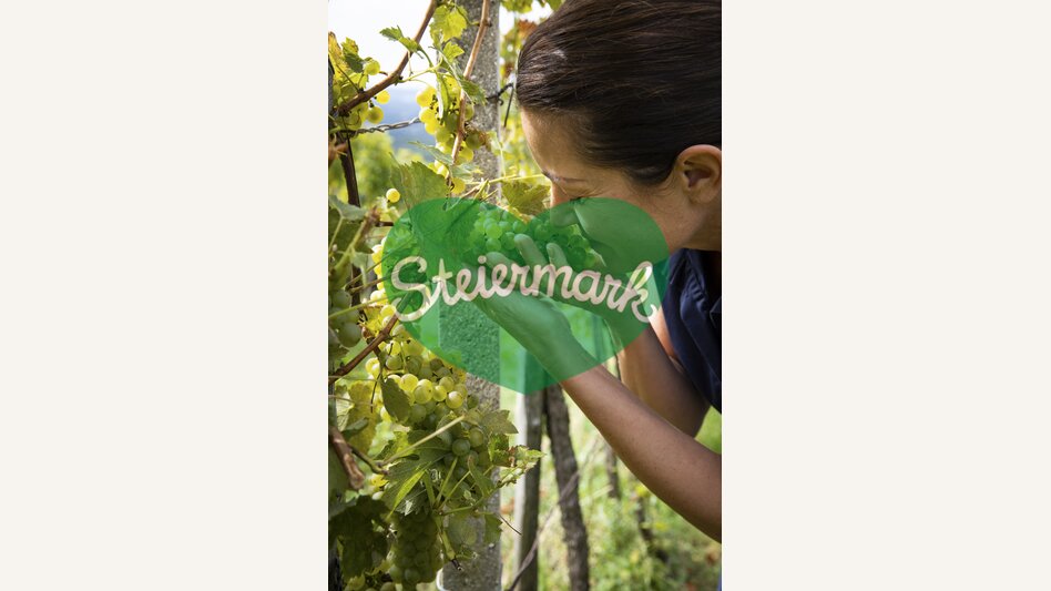 Healing power from nature | © Steiermark Tourismus | Punkt & Komma