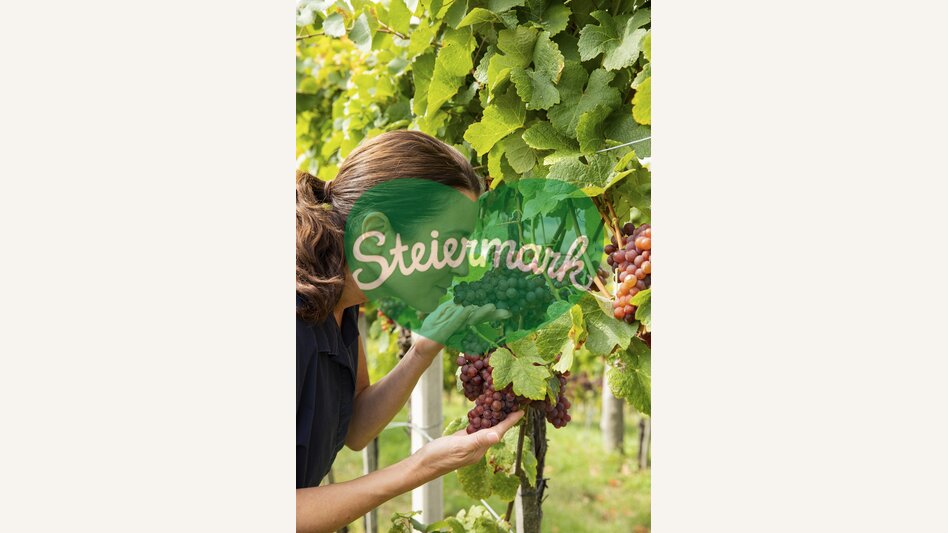 Healing power from nature | © Steiermark Tourismus | Punkt & Komma