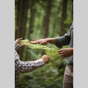 Time out in the forest | © Steiermark Tourismus | Punkt & Komma