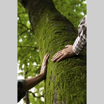 Time out in the forest | © Steiermark Tourismus | Punkt & Komma