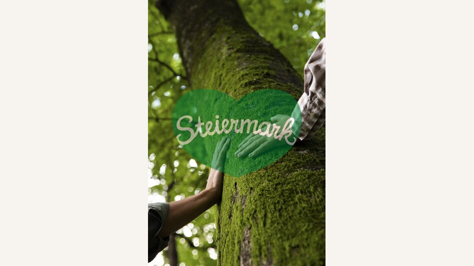 Time out in the forest | © Steiermark Tourismus | Punkt & Komma