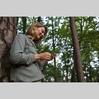 Time out in the forest | © Steiermark Tourismus | Punkt & Komma