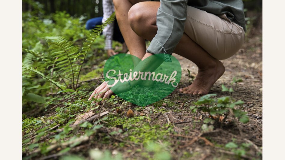 Time out in the forest | © Steiermark Tourismus | Punkt & Komma