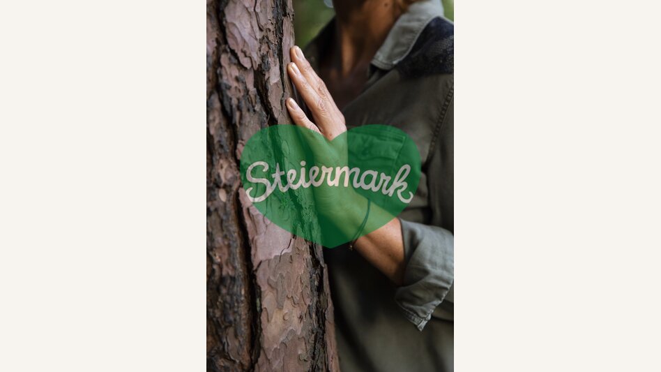 Time out in the forest | © Steiermark Tourismus | Punkt & Komma
