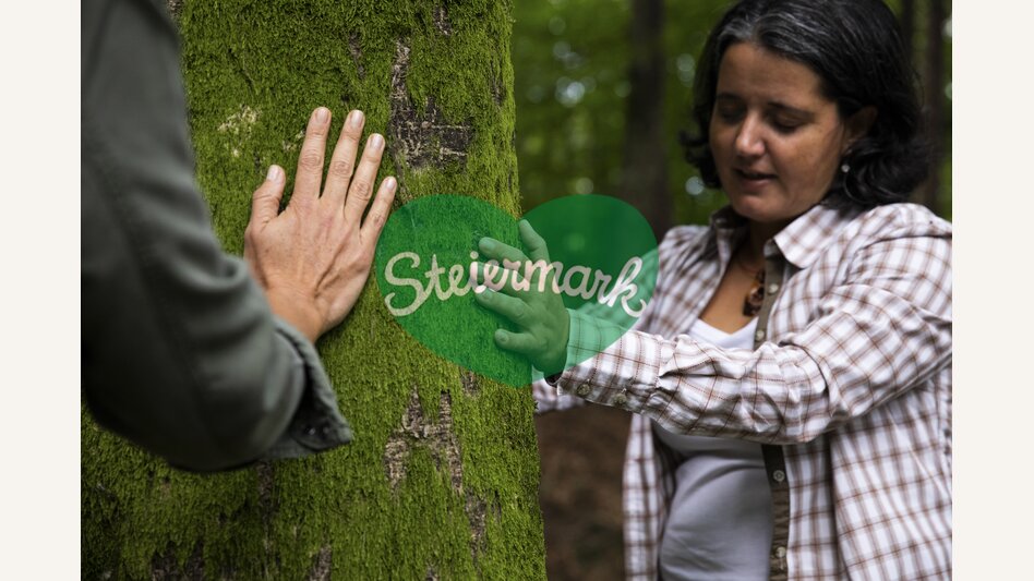 Time out in the forest | © Steiermark Tourismus | Punkt & Komma