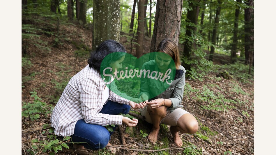 Time out in the forest | © Steiermark Tourismus | Punkt & Komma