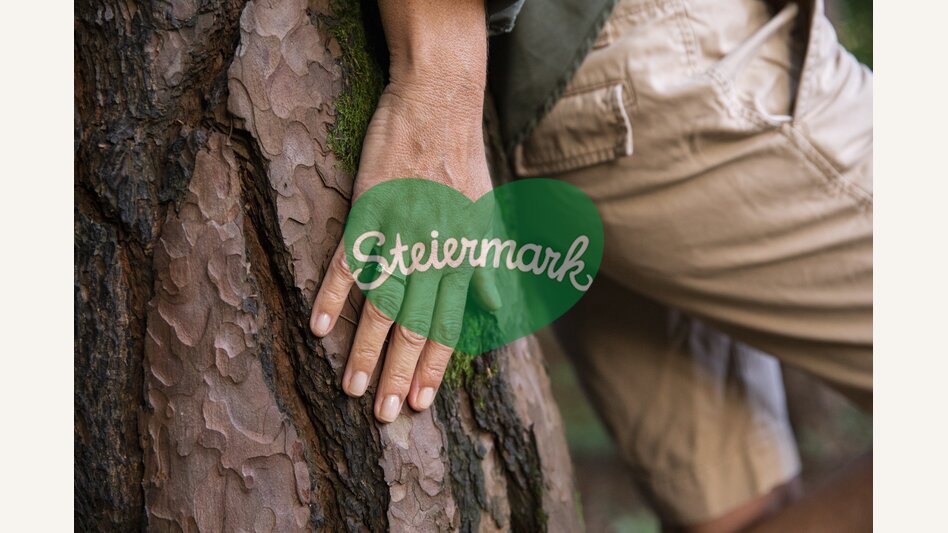 Time out in the forest | © Steiermark Tourismus | Punkt & Komma
