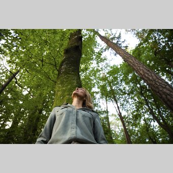 Time out in the forest | © Steiermark Tourismus | Punkt & Komma