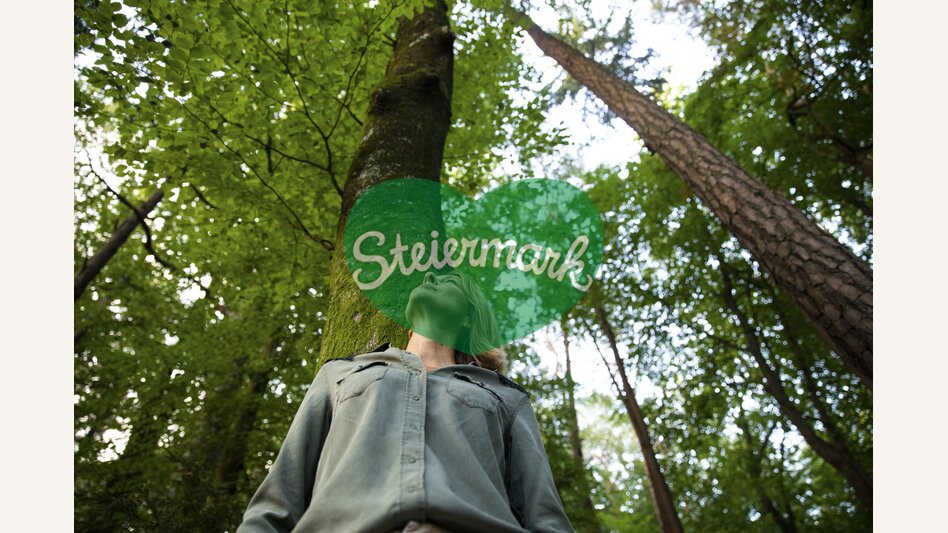 Time out in the forest | © Steiermark Tourismus | Punkt & Komma