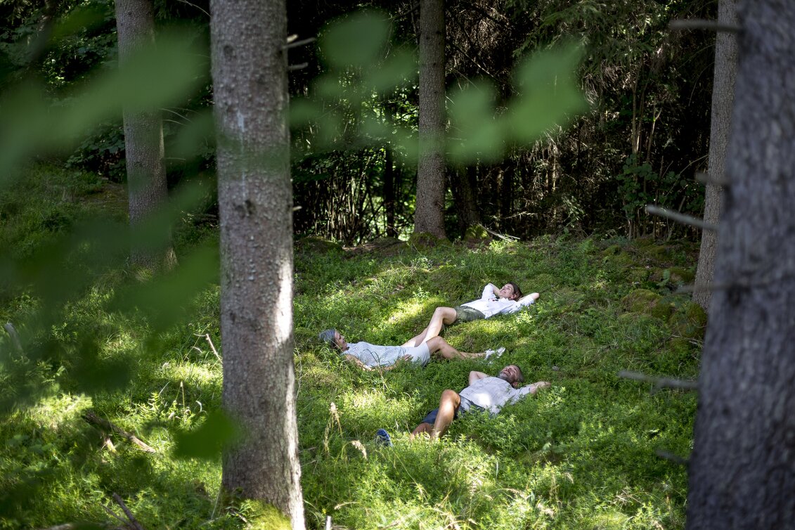 PackageWaldbaden in der Hochsteiermark - Neue Energie tanken in der Kraftquelle Wald