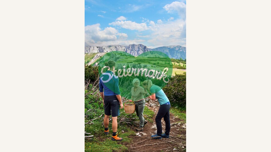 Kräuterwanderung auf der Aflenzer Bürgeralm | © TV Hochsteiermark | Robert Maybach