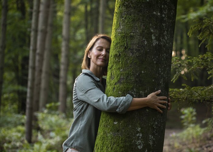 Time out in the forest | © Steiermark Tourismus | Punkt & Komma