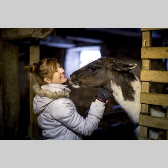 Animalistic encounter with farm holidays in St. Blasen | © Steiermark Tourismus | Tom Lamm