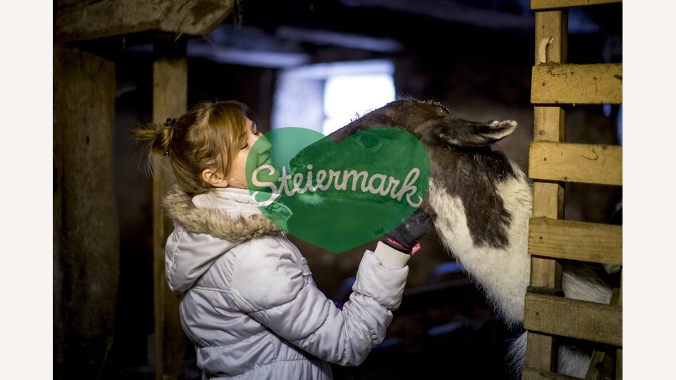 Animalistic encounter with farm holidays in St. Blasen | © Steiermark Tourismus | Tom Lamm