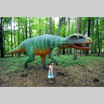 Styrassic-Park | © Steiermark Tourismus | Gery Wolf