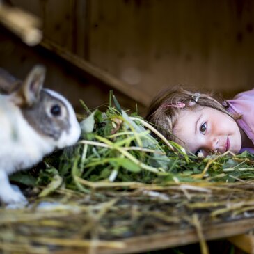 Wer wildert da im Hasenstall? :-)