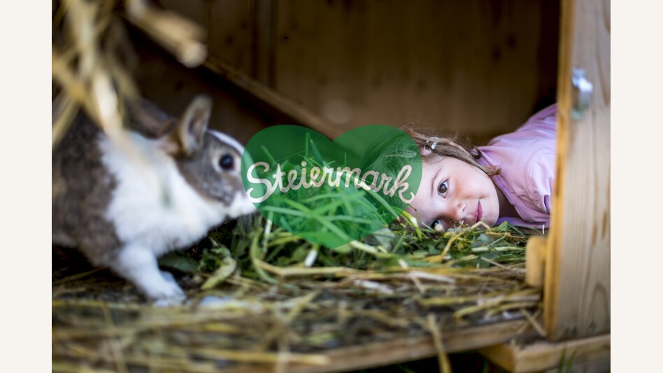 Wer wildert da im Hasenstall? :-) | © STG | Tom Lamm