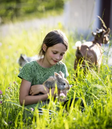 On a farm in Murau | © Steiermark Tourismus | Tom Lamm