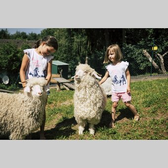 meeting the animals | © Steiermark Tourismus | Bernhard Bergmann