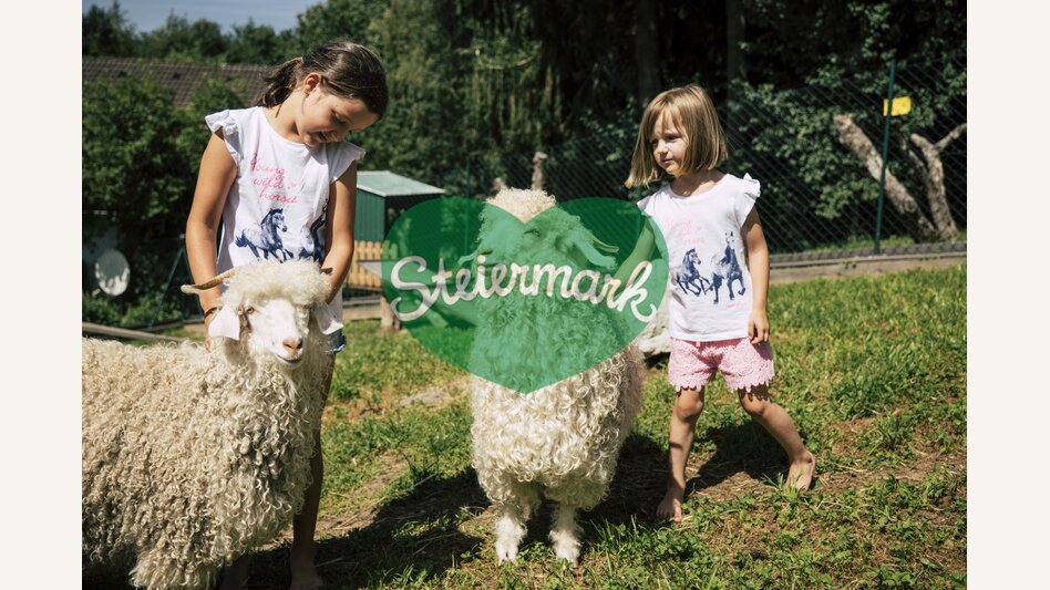 meeting the animals | © Steiermark Tourismus | Bernhard Bergmann