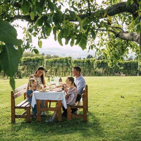 Family is dining under a walnut tree in Eastern Styria | © Steiermark Tourismus | Bernhard Bergmann